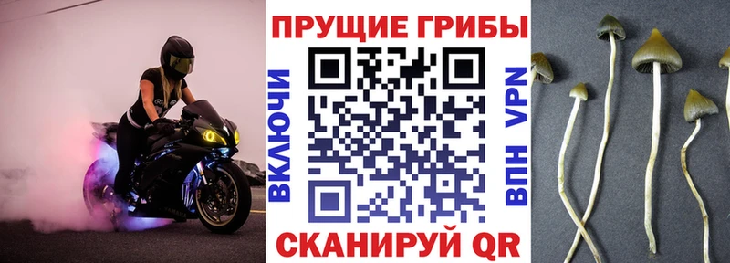 мориарти как зайти Лагань Галлюциногенные грибы прущие грибы